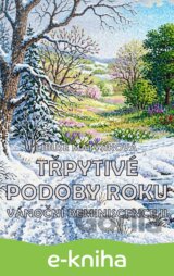 Třpytivé podoby roku / Vánoční reminiscence II
