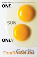 One Sun Only