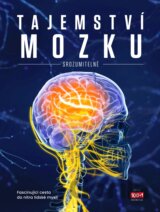Tajemství mozku srozumitelně