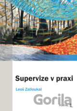 Supervize v praxi