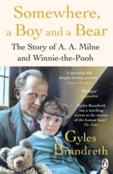Somewhere, a Boy and a Bear