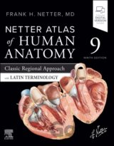 Netter Atlas of Human Anatomy: Classic Regional Approach with Latin Terminology