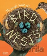 The Secret World of Bird Nests
