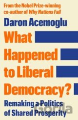 What Happened to Liberal Democracy?