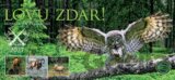 Stolní kalendář LOVU ZDAR! 2027