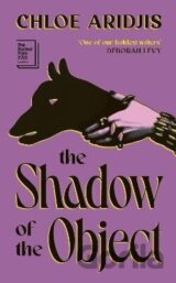 Shadow of the Object