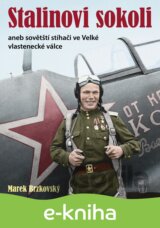 Stalinovi sokoli aneb sovětští stíhači ve Velké vlastenecké válce