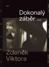 Dokonalý záběr