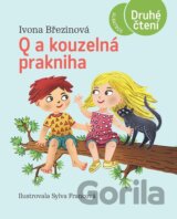 Q a kouzelná prakniha