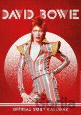 Oficiální nástěnný kalendář 2027: David Bowie (A3 29,7 x 42 cm)
