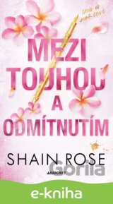 Mezi touhou a odmítnutím