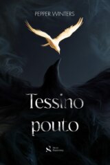 Tessino pouto