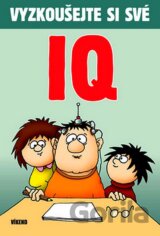 Vyzkoušejte si své IQ