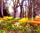 Spring at the Tulip Walk, Mainau