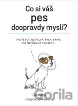 Co si váš pes doopravdy myslí