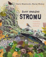 Život spadlého stromu