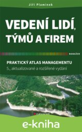 Vedení lidí, týmů a firem