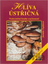 Hlíva ústřičná1