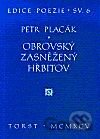 Obrovský zasněžený hřbitov