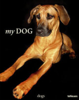 My Dog