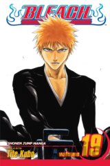 Bleach 19