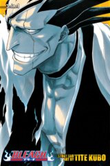 Bleach 5