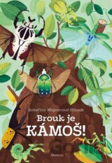 Brouk je kámoš