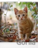Cats 2027 - nástěnný kalendář