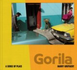 Harry Gruyaert – A Sense of Place