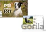 Psí plemena 2027 - stolní kalendář