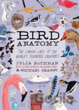 Bird Anatomy