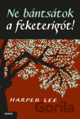 Ne bántsátok a feketerigót!