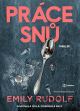 Práce snů