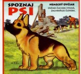 Psi