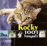 Kočky - 1001 fotografií