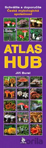 Atlas hub