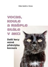 Další kecy mírně přidrzlýho kocoura