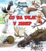 Mravček Zvedavko: Čo sa deje v zime?