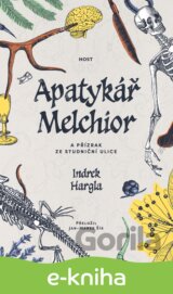 Apatykář Melchior a přízrak ze Studniční ulice