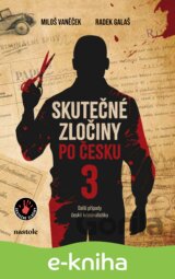 Skutečné zločiny po česku 3