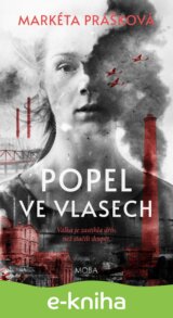 Popel ve vlasech