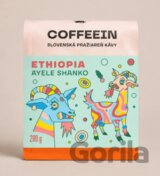 Ethiopia Ayele Shanko