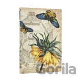 Golden Fritillaria Mini Lined