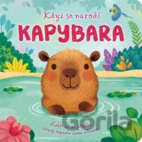 Když se narodí KAPYBARA