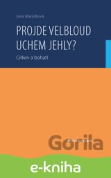 Projde velbloud uchem jehly?