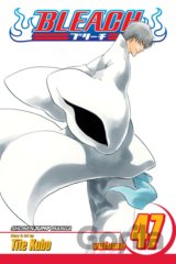 Bleach 47