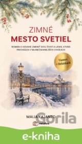 Zimné mesto svetiel