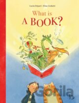 What is a Book