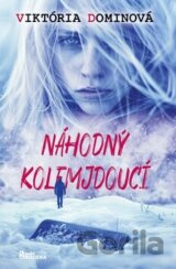 Náhodný kolemjdoucí