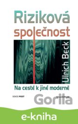 Riziková společnost